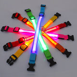 Leuchtendes LED Hundehalsband