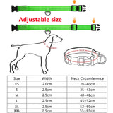 Leuchtendes LED Hundehalsband