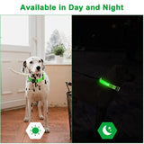 Leuchtendes LED Hundehalsband