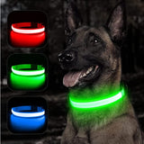 Leuchtendes LED Hundehalsband